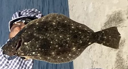 jルアーでヒラメ46㎝